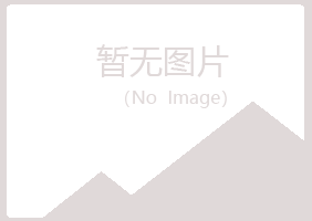 山城区平淡能源有限公司